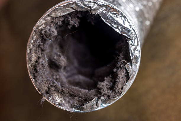 Best Affordable HVAC Duct Cleaning  in Clay City, KY