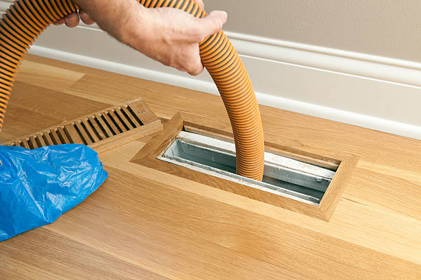 Best Air Duct Sanitizing Services  in Clay City, KY